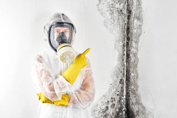 Best Mold Odor Removal Services  in Whitehorn Cove, OK